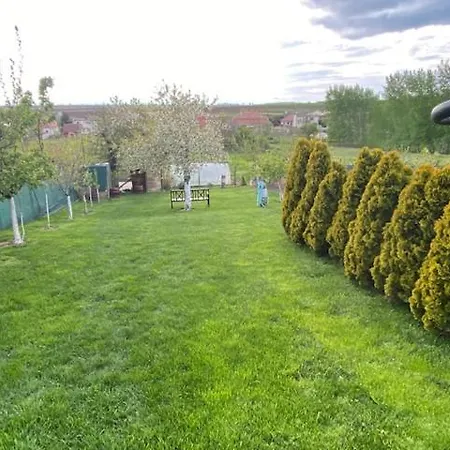 Dom wakacyjny V Kolte