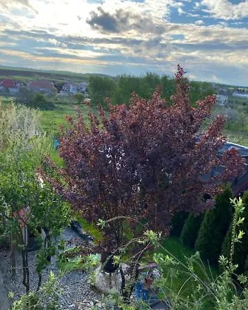 V Kolte Vakantiehuis Kolta