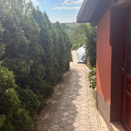V Kolte Kolta