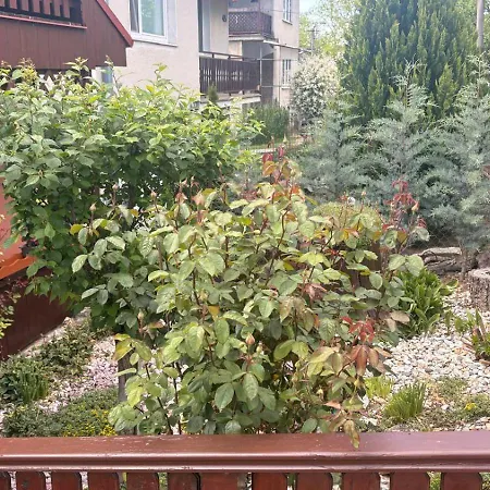 V Kolte Tatil Evi *