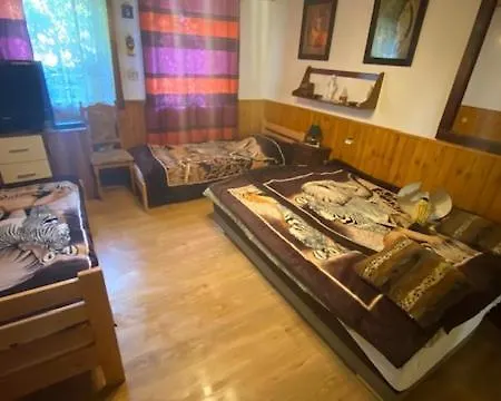 V Kolte Kolta
