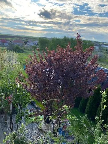 V Kolte 別荘 Kolta